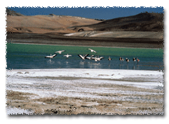 Valle del Elqui