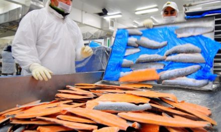 Estudio argentino revela contaminación peligrosa del salmón chileno