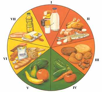 COMBINACIONES DE ALIMENTOS