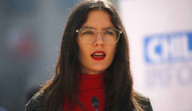 Ministra Vallejo por proceso constituyente: “El Gobierno tiene posición y opiniones políticas pero es muy distinto imponer ciertos bordes”