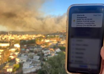 Incendio forestal de Viña del Mar ha consumido al menos diez viviendas