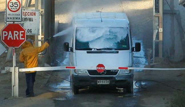 SAG confirma primer caso positivo de gripe aviar en la Región Metropolitana