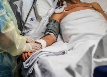 Gripe Aviar: Ministra de Salud Ximena Aguilera llamó a la población a no acercarse a aves o mamíferos marinos muertos