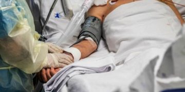 Gripe Aviar: Ministra de Salud Ximena Aguilera llamó a la población a no acercarse a aves o mamíferos marinos muertos