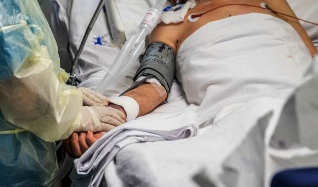 Gripe Aviar: Ministra de Salud Ximena Aguilera llamó a la población a no acercarse a aves o mamíferos marinos muertos