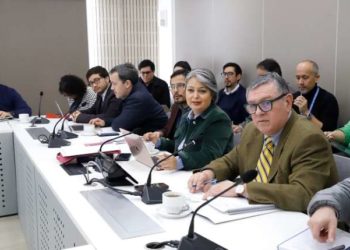 Tras bajarse de la mesa: UDI presentará propuesta de pensiones en la comisión de Trabajo de la Cámara