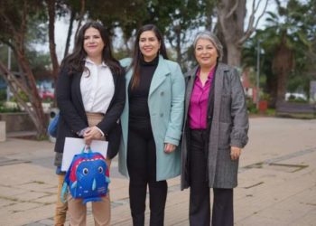 Teletrabajo, un derecho para cuidadoras: Gobierno presenta proyecto de ley que concilia la vida laboral, familiar y personal