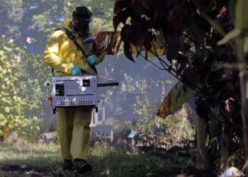 Ministerio de Salud mantiene alerta sanitaria por dengue en 7 regiones del país