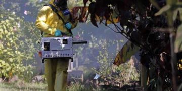 Ministerio de Salud mantiene alerta sanitaria por dengue en 7 regiones del país