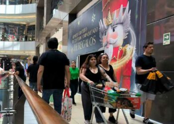 “Es una señal confusa”: Gobierno critica proyecto que permitiría funcionamiento del comercio el día del plebiscito