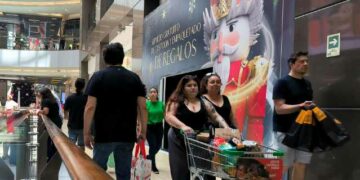 “Es una señal confusa”: Gobierno critica proyecto que permitiría funcionamiento del comercio el día del plebiscito