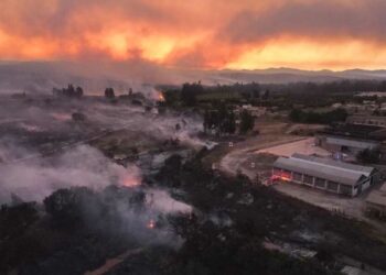 Incendio forestal en Melipilla se mantiene contenido y autoridades llaman a tomar medidas de precaución