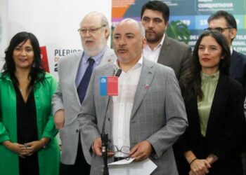 Metro y EFE gratis: Gobierno anunció plan de transporte para el plebiscito