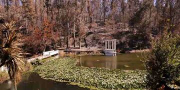 Plan de restauración del Jardín Botánico: Gobierno dispondrá 500 millones de pesos para su recuperación