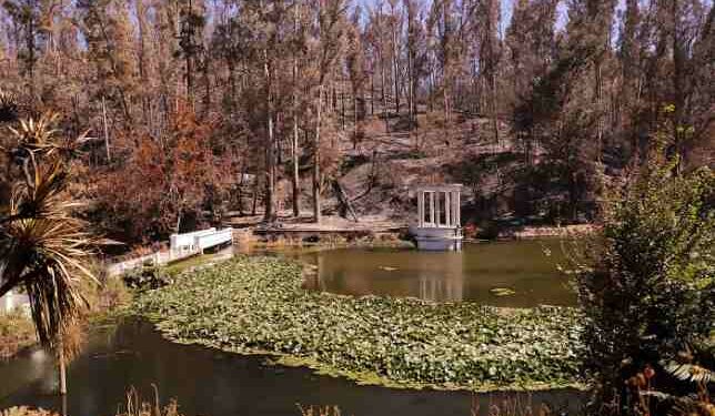 Plan de restauración del Jardín Botánico: Gobierno dispondrá 500 millones de pesos para su recuperación