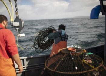 La lucha de los pescadores artesanales de Aysén ante la privatización del mar