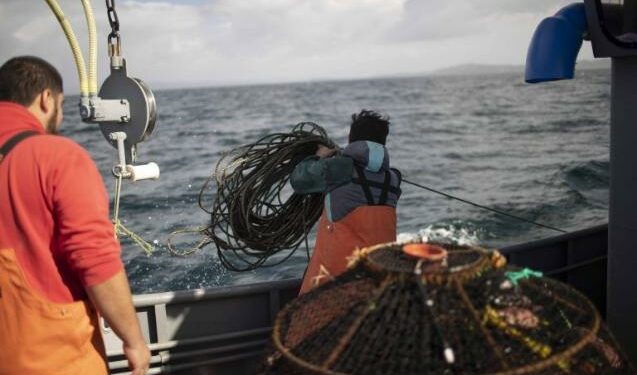 La lucha de los pescadores artesanales de Aysén ante la privatización del mar