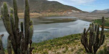 Crítica situación de sequía en Región de Coquimbo: Embalses comienzan a secarse