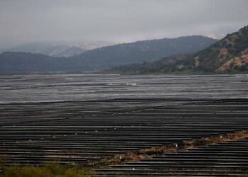 “No + zona de sacrificio para Colbún”: Movimiento ciudadano levanta alertas por proliferación de proyectos fotovoltaicos