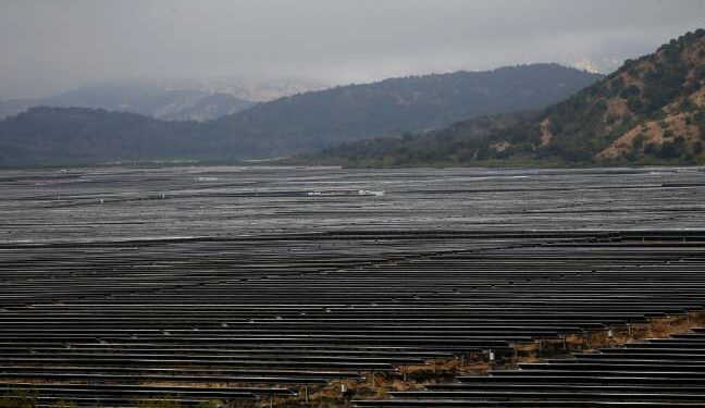 “No + zona de sacrificio para Colbún”: Movimiento ciudadano levanta alertas por proliferación de proyectos fotovoltaicos